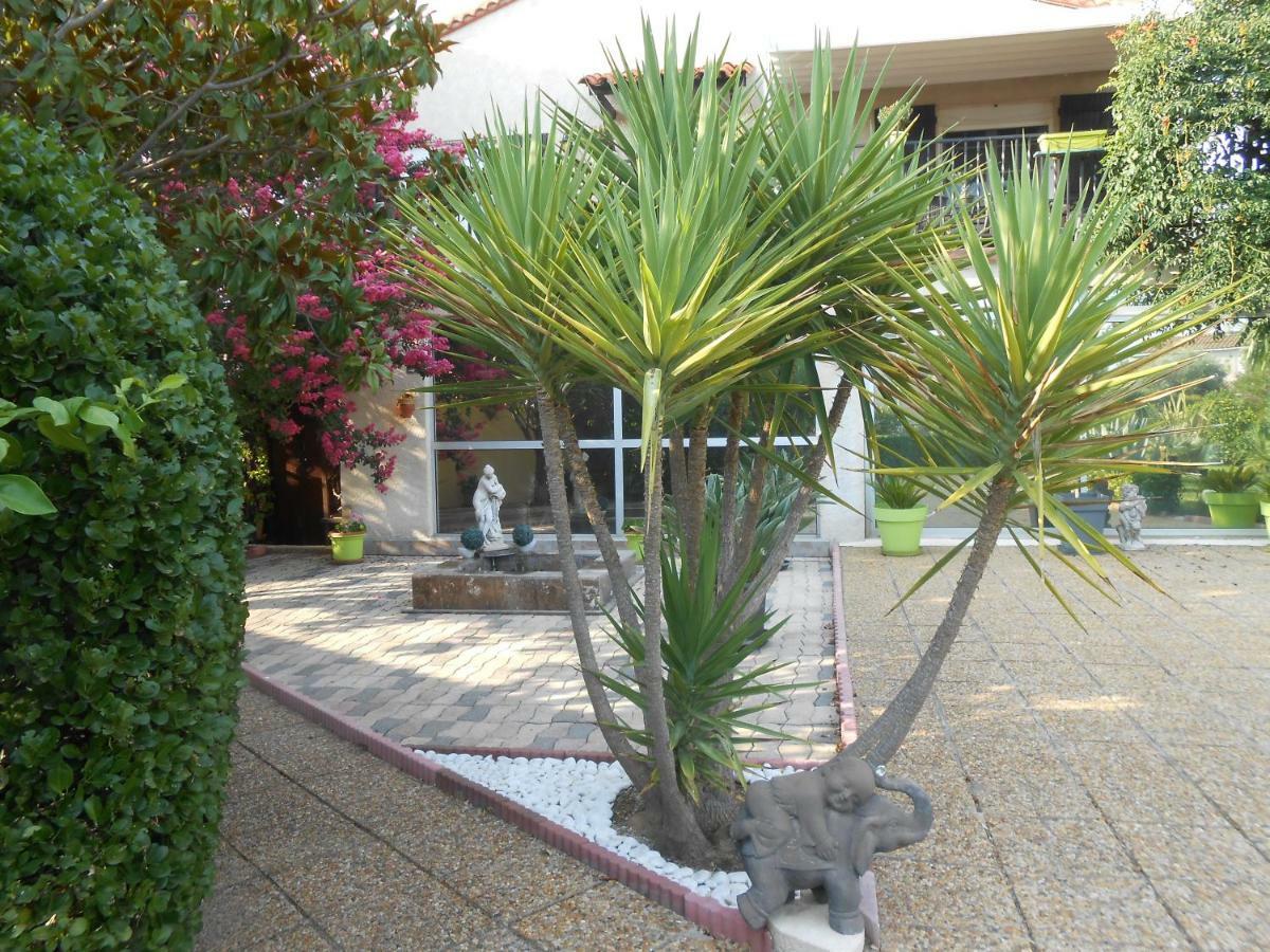 Maison Monica Exeptionnel-Jardin Paysage Zen Coursan Экстерьер фото